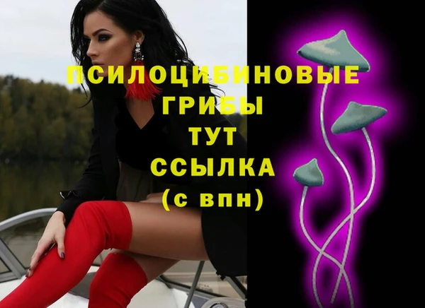 крисы Абинск