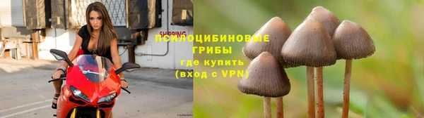 spice Алексеевка