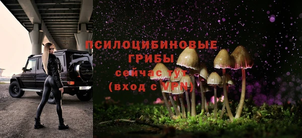 мескалин Алексин